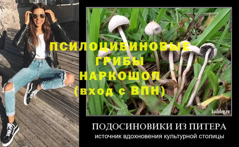 Галлюциногенные грибы Magic Shrooms  мега онион  Собинка 